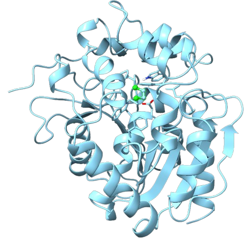 Dehalogenase