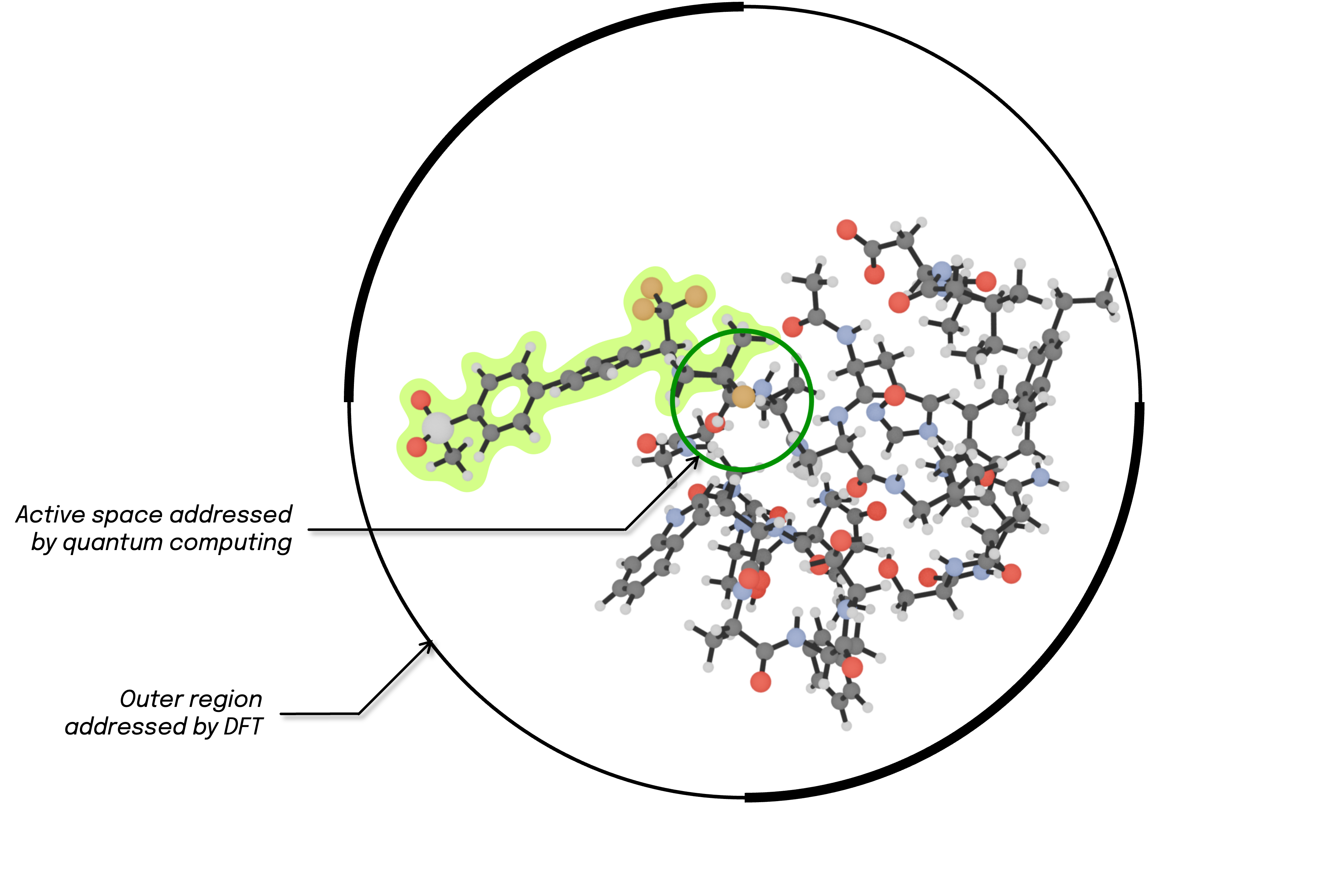 Cathepsin-K enzyme with Odanacatib ligand